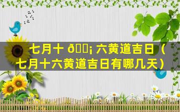 七月十 🐡 六黄道吉日（七月十六黄道吉日有哪几天）